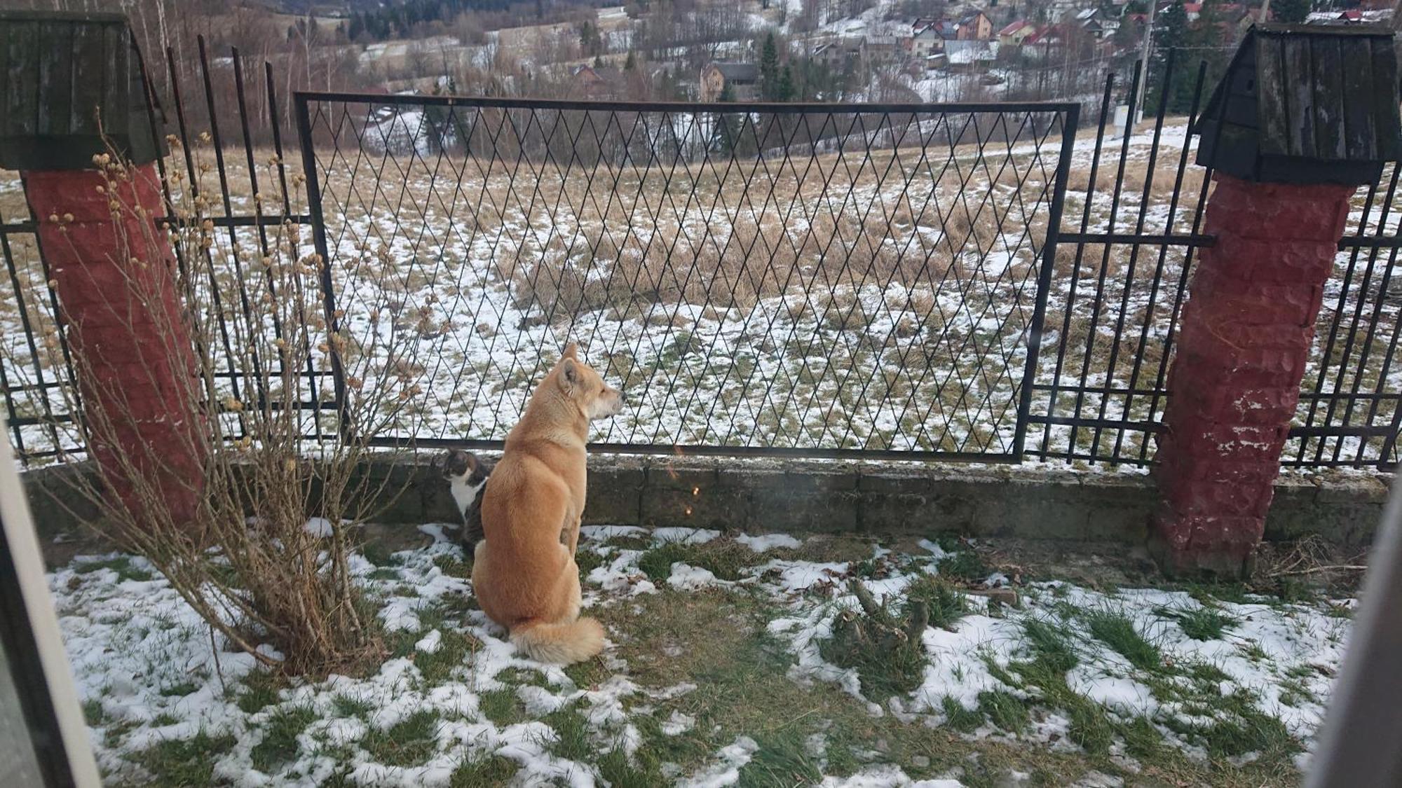 Widokowa Appartamento