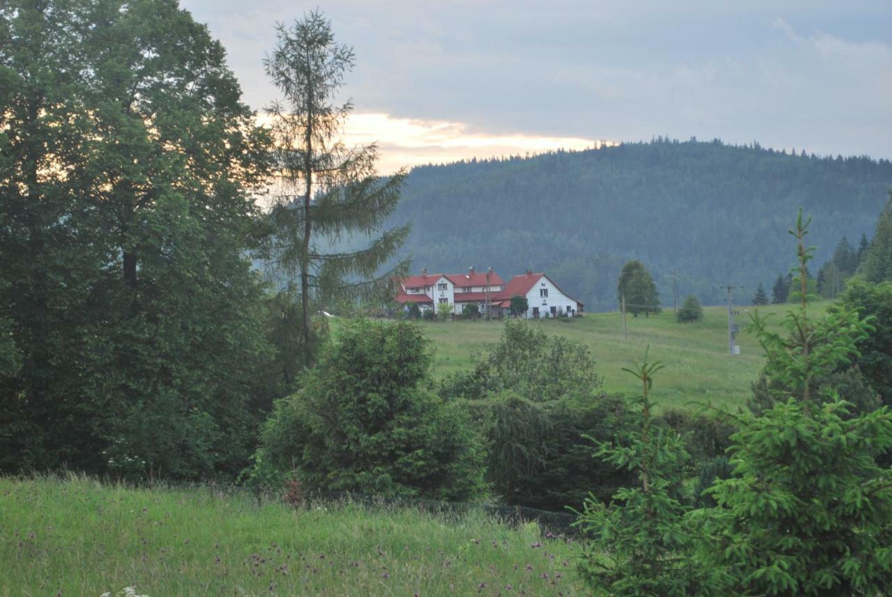 Apartament Widokowa