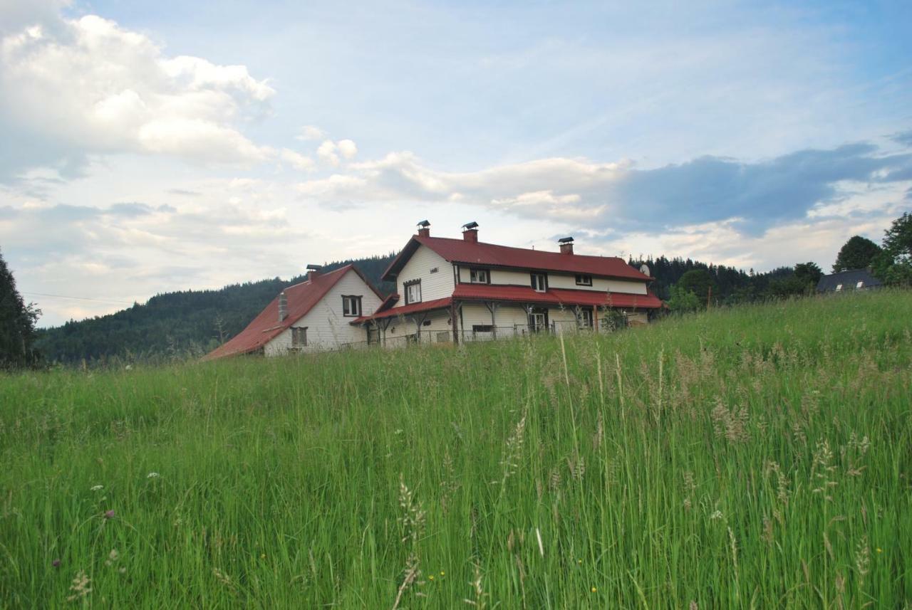 Widokowa *