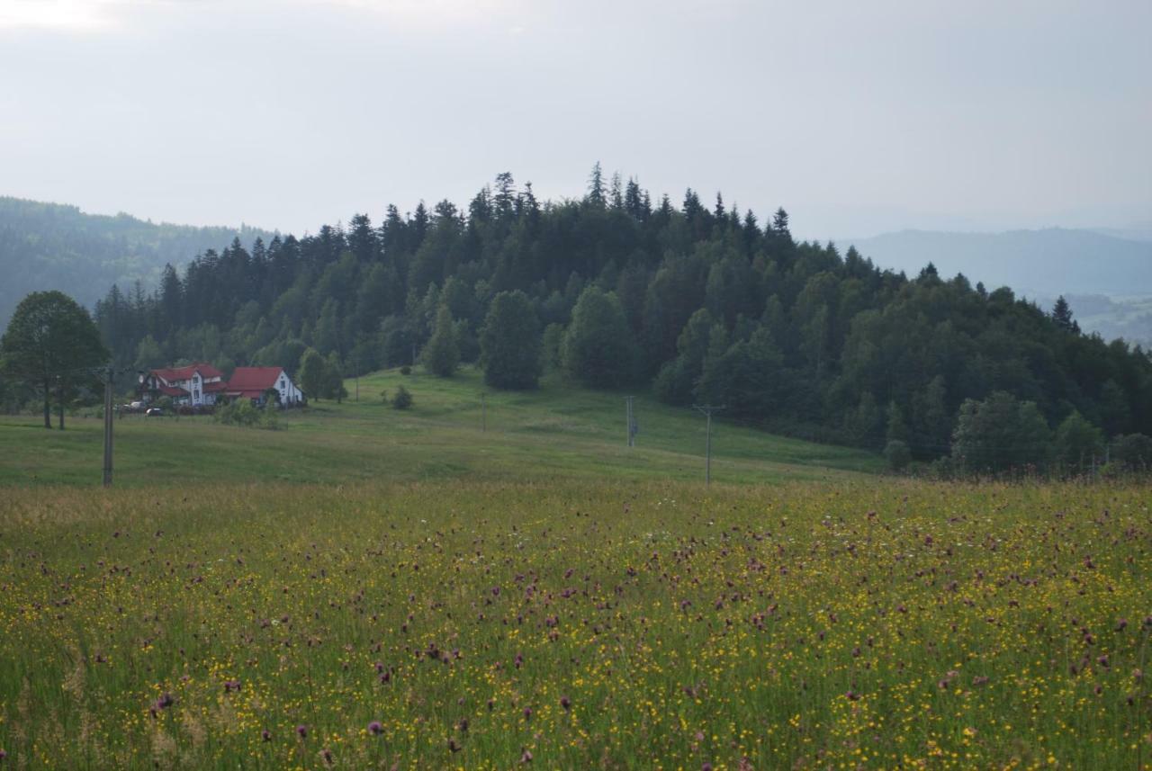 Widokowa