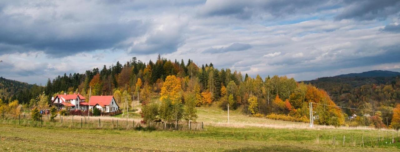 Widokowa *